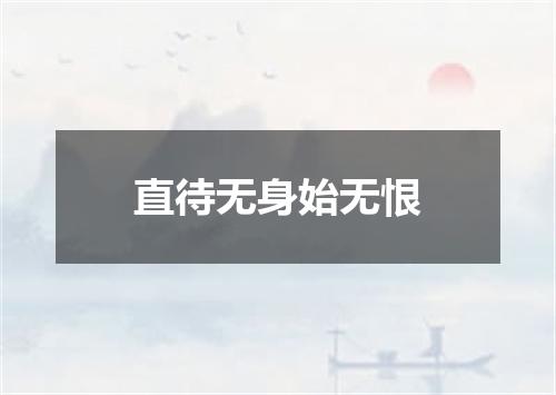直待无身始无恨
