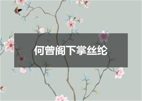 何曾阁下掌丝纶