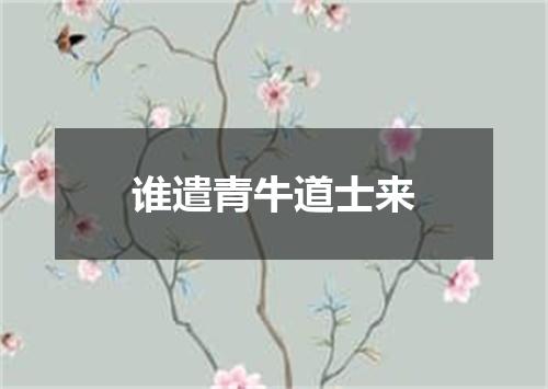 谁遣青牛道士来