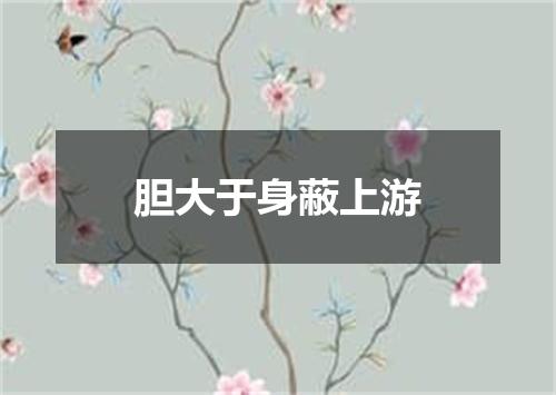 胆大于身蔽上游