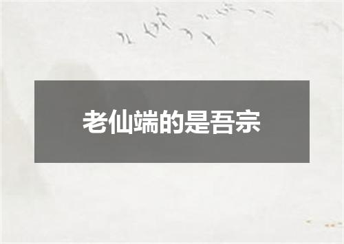 老仙端的是吾宗