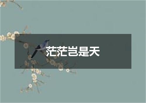 茫茫岂是天