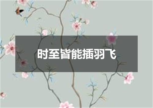 时至皆能插羽飞