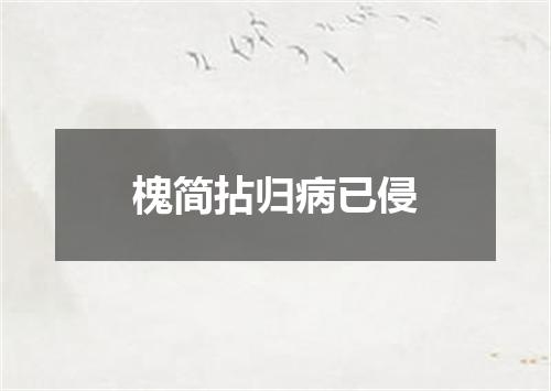 槐简拈归病已侵