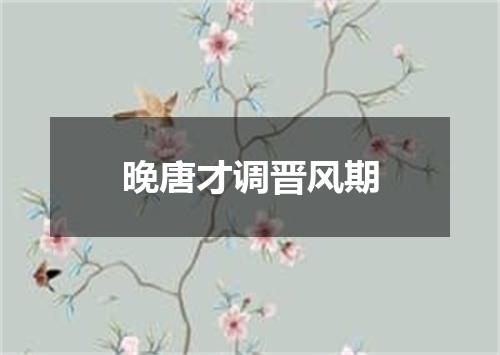 晚唐才调晋风期
