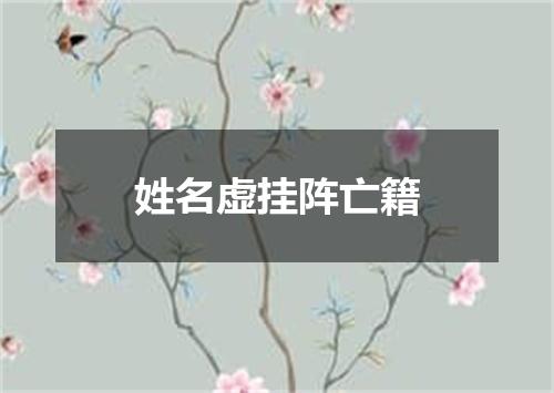 姓名虚挂阵亡籍