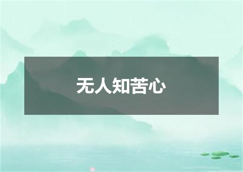 无人知苦心