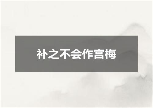 补之不会作宫梅
