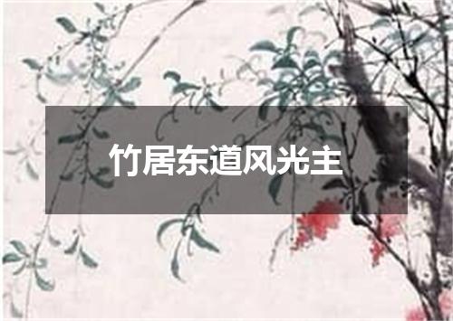竹居东道风光主