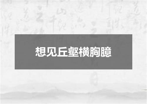 想见丘壑横胸臆
