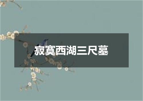 寂寞西湖三尺墓