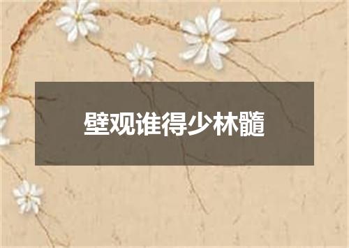 壁观谁得少林髓