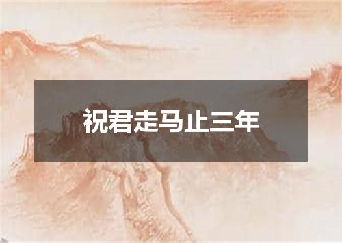祝君走马止三年