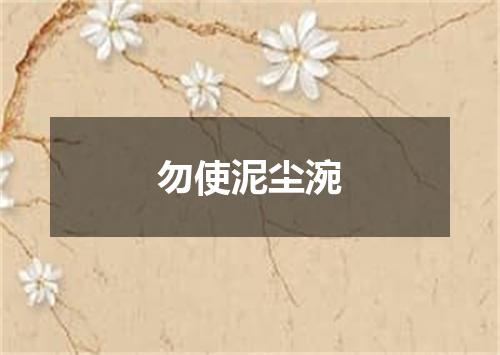 勿使泥尘涴
