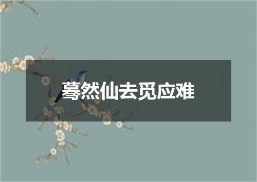蓦然仙去觅应难