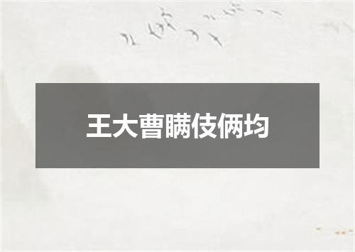 王大曹瞒伎俩均