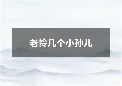 老怜几个小孙儿