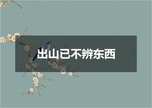 出山已不辨东西