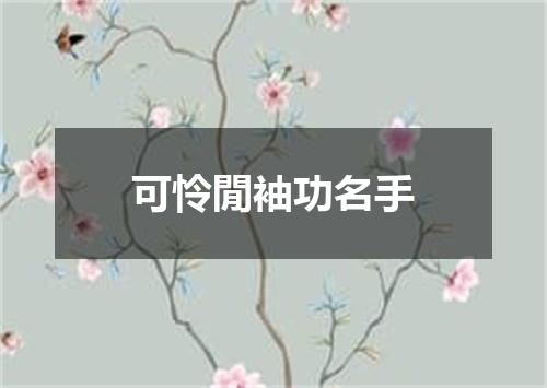 可怜閒袖功名手