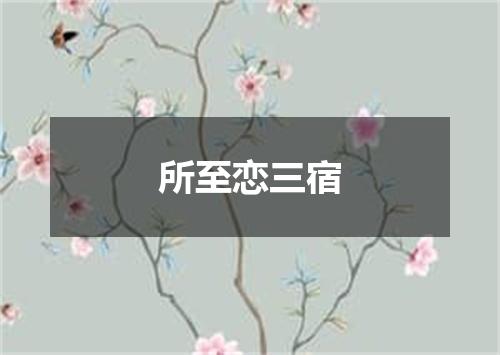 所至恋三宿