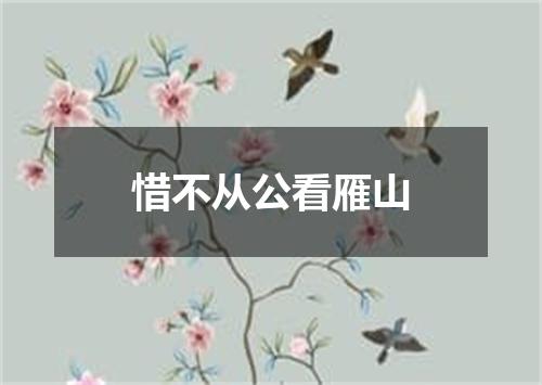 惜不从公看雁山