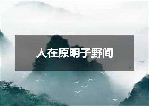 人在原明子野间