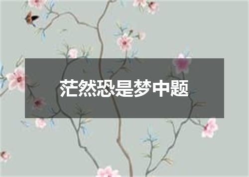 茫然恐是梦中题