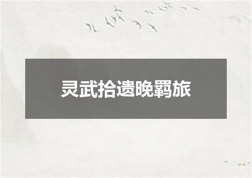 灵武拾遗晚羁旅