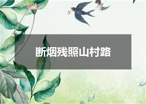 断烟残照山村路