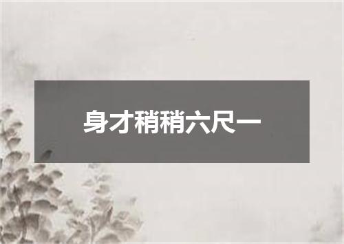 身才稍稍六尺一