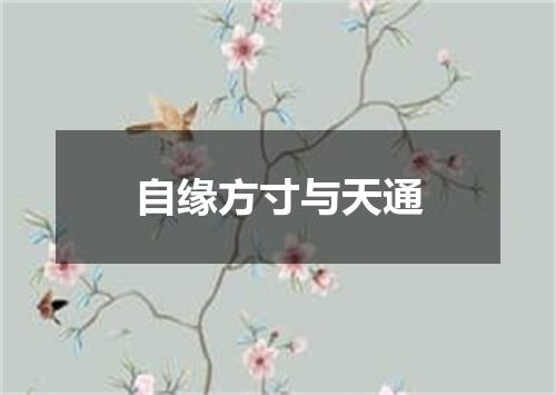 自缘方寸与天通