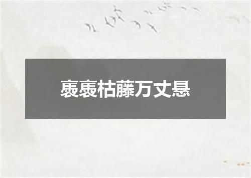 褭褭枯藤万丈悬