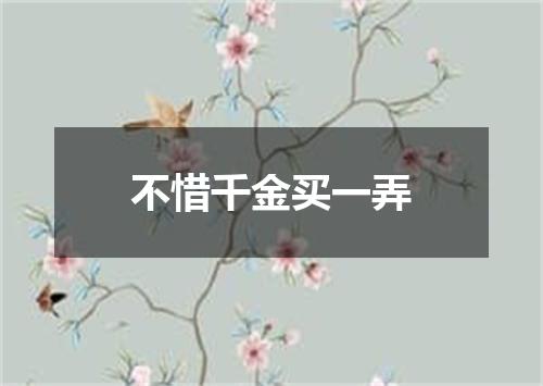 不惜千金买一弄