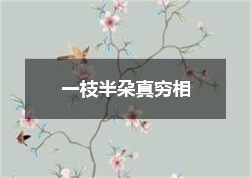 一枝半朶真穷相