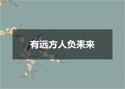 有远方人负耒来