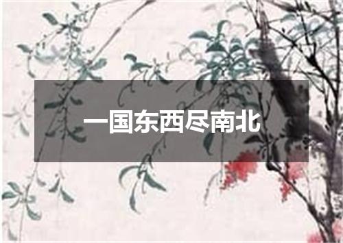 一国东西尽南北
