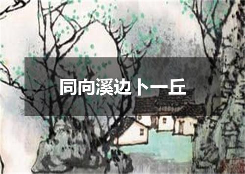同向溪边卜一丘