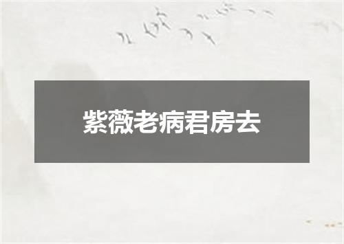 紫薇老病君房去