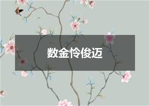 数金怜俊迈