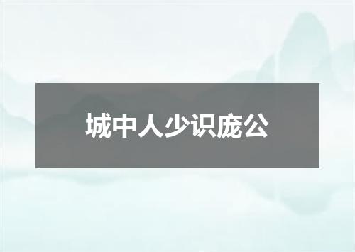 城中人少识庞公