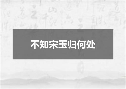 不知宋玉归何处