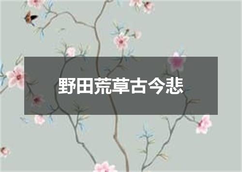 野田荒草古今悲