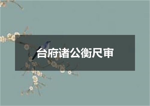 台府诸公衡尺审