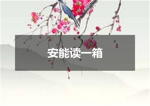 安能读一箱