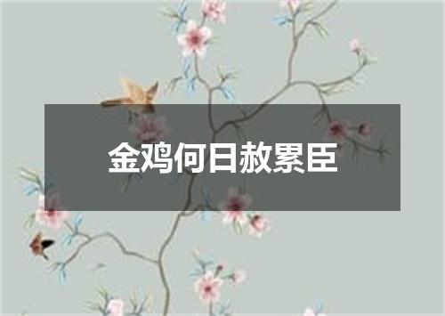 金鸡何日赦累臣