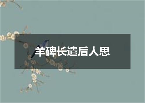 羊碑长遣后人思