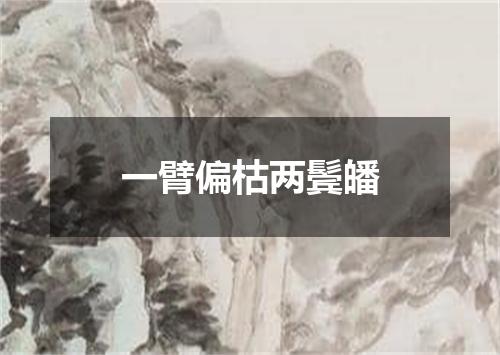 一臂偏枯两鬓皤