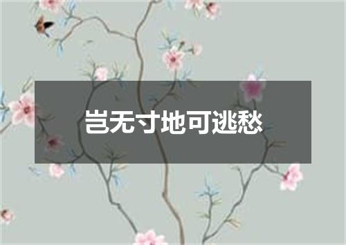岂无寸地可逃愁