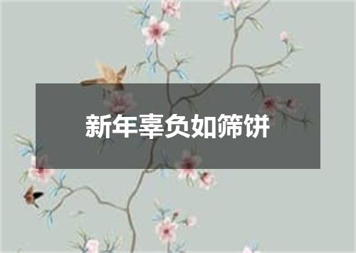新年辜负如筛饼