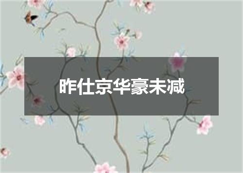 昨仕京华豪未减
